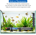FEDOUR 50W 100W 300W Submersible Aquarium Heater, Adjustable Glass Water Heater for 5 – 70 Gallon Fish and Turtle Tank (