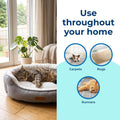 Carbona 2-in-1 Oxy-Powered Pet Stain & Odor Remover, 22 Fl Oz
