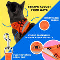 Travel Cat Harness and Leash Set - Adjustable Fit Mesh Cat Harness and Reflective Strap - Comfort Walking Vest for Kitte