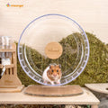 Niteangel Super-Silent Hamster Exercise Wheels: Quiet 10 inch Running Wheel