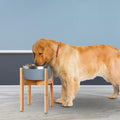 Dog Bowl Stand for Large Breed - Raise, Elevate Bowls to 14-inch High - Adjustable, Fits Any Single Pet Food/Water Feeders and Fountains - Durable Bamboo