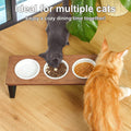 Sunhoo Raised Cat Food Water Bowl Elevated Tilted Kitty Dishes Set of 3 Ceramic Dish for Indoor Cats Orthopedic Pet Food Stand Reduces Vomiting 3 Bowl Cat Feeder Easy Assembly(Brown)