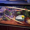 Reptile Corner Food Bowl Water Dish,Snake Feed Dish with Artificial Plant Reptile Water Bowl Terrariums for Bearded Drag