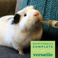 Oxbow Critical Care Herbivore, Rabbit & Guinea Pig, Apple Banana, 141 g