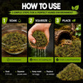 Sukh Sphagnum Moss for Reptiles - Green Terrarium Moss Substrate, 5oz