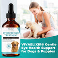 Dog Eye Infection & Eye Care Support Supplements | All-Natural Support for Conjunctivitis, Swelling, Dry Eyes, Tear Stains & Discharge | with L-Lysine, Omega-3 & Lutein + Zeaxanthin | 2.03 fl oz