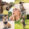 2 Pack Adjustable Ultrasonic Dog Whistle, Dog Training Whistle with Lanyard