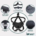 Houdini™ Escape Proof Cat Harness and Leash Set by OutdoorBengal – Black, Medium Cat Harness for Walking