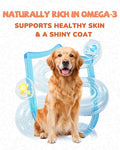 PAWUP Freeze Dried Salmon Dog Treats, Single Ingredient