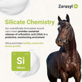 Essential Skin Care Ointment for Horses - Protects and Moisturizes for Equine Healing - Competition Safe, Steroid Free F