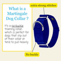 Country Brook Petz - HossFit Jr Wide Martingale Dog Collar - Training Collar with No Buckle - Service Dog Collar for All
