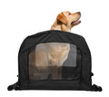 DEEMEED Motorcycle Dog Carrier Capsule XL - Heavy Duty Pet Travel Bag for Large Breeds up to 80 lbs - Universal Fit for Sissy Bar, Luggage Rack - Secure, All-Weather Ventilation, Car & Motorbike Use