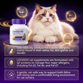 Cat Allergen Reducing Multivitamin Neutralize 4 Fel d Allergens