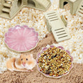 BNOSDM Shallow Ceramic Hamster Food Dish 2 Pcs Small Animals Food Bowl Sunflower Feeding Dishes for Gerbils Mice Rats 4.