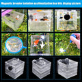 Magnetic Fish Breeder Box for Isolation Boxes Acclimation Hatchery breeding Incubator for Guppy Baby Betta Shrimp Saltwa