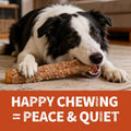 Just Try 2 Packs 13" Large Size Chicken Wrapped Rawhide Dog Chew Sticks
