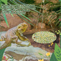 Wesiti 2 Pcs Bearded Dragon Hammock Summer Reptile Hanging Bed Swing Toys Cotton Lizard Reptile Hammock Bearded Dragon T