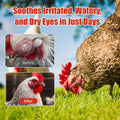 Chickens Eye Care Drops for Chickens, Ducks & Birds – Improve the Eye Health – Improve Egg Quality – Supports Clear Visi