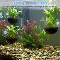 3 Pack Clear Fish Tank Plant Holder Aquatic Plant Cups