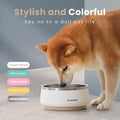 Pawaii Dog Bowl, 34 oz Double-Wall Stainless Steel Food and Water Bowl, Non-Slip Rubber Base, Dishwasher Safe, ID Tag Included, (1 Pack)