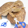 Bearded Dragon Nail Clippers,Stainless Steel Bearded Dragon Accessories,Professional Grooming pet Tools Including Nail F