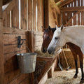 6 Pcs Metal Bucket Hooks for Horses - Heavy Duty Bucket Holder with Ring, Wall Mount Water Hangers for Stall, Barn, Farm
