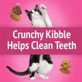 Purina Friskies Party Mix California Crunch with Chicken and Flavors of Turkey and Bacon Cat Treats - 30 oz Canister