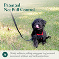 Sporn No Pull Dog Harness, Durable Nylon Mesh Harness for Small Dogs, No Choke Design, Padded Restraint Sleeves, Adjusta