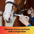 Farnam IverCare Ivermectin Horse Paste Apple Flavor 1.87%, Horse Dewormer and Boticide, Anthelmintic Paste Treats Up to 