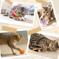 iCAGY 25 Pcs Cat Toys for Cats, Indoor Kittens - Interactive Variety Pack, 45 inches Rainbow Cat Tunnel, Feather Teaser, Feather Golf, Mice, Springs, Balls, Noise Toys - Rainbow/Colorful 45"