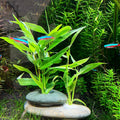 Natural River Stone Plant Weights for Aquarium, Handmade Pebble Anchors for Aquatic Plants, Fish Tank Decorations, Uniqu