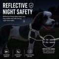 ShawnCo Dream Walk Pro No-Pull Dog Harness