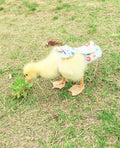 Duck Diapers, Chicken Diapers, Special Diapers for Poultry, Chicken, Duck and Goose Waterproof, Adjustable, Washable and