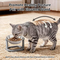 Tifanso 6PCS Stainless Steel Cat Bowls Dishes, 5.6” Metal Shallow Wide Whisker Friendly Cat Food Water Feeding Bowl, Kitten Plates, Basic Indoor Pet Food Tray, Dishwasher Safe
