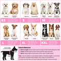 Surgery Suit for Female Dog After Spaying with Back Zipper