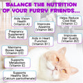 Cat Multivitamin Drops - 15 in 1 Vitamin Supplement for Immune Support, Heart, Bones, Joint, Skin & Coat Health, Bacon Flavor Vitamins for Senior Cats & Kittens (1 Pack, for cat)
