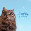 ADAMS Plus Flea and Tick Prevention Spot On for Cats, Kills Fleas & Ticks (Brown Dog/Deer Ticks), Kills and Repels Mosquitoes, Prevents Flea Infestations, 3-Month Supply, 3 Pack