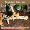BNOSDM Reptile Branches, 9.5-11.4inch Snake Climbing Branch, Terrarium Wood Branch Decor, Bearded Dragon Tank Climbing A