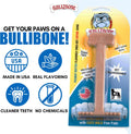 Bullibone Nylon Dog Chew Toy for Aggressive Chewers - Dental Hygiene Bone with Peanut Butter Flavor, Durable Tough Chew Toys for Small Dogs, Indestructible Dog Bone - Single