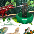 Hookable Chameleon Feeding Bowl, Professional Live Worm Organizer with Column for Prey to Climb and Move, Suitable for L