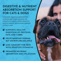 Animal Essentials Plant Enzyme & Probiotics, Plant Based - 10.6 Oz