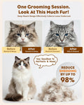 CHILLPLN Cat Brush for Long Haired Cats - Double Sided Dematting Undercoat Rake for Persian, Ragdoll, Maine Coon - Professional Grooming Tool to Remove Mats, Tangles & Shedding - Skin-Safe Teeth