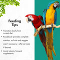 RoudyBush California Blend Bird Food
