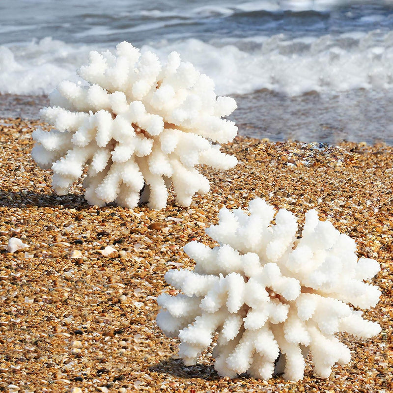 Besimple Pack of 2 Artificial Coral Ornament, Aquarium Resin Coral Decor Underwater Sea Plants Fish Tank Decoration Aqua