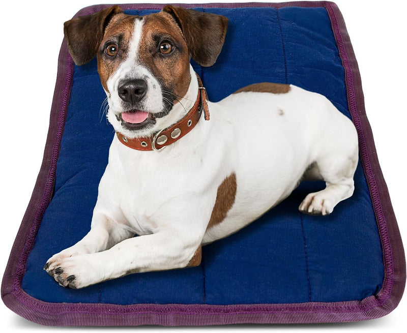 Jeffers Pet Comfort Dog Pillow, XL 36