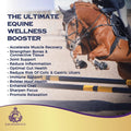 Vital Amino Blend - Horse Care, Coat & Hoof - Performance Horse - No Soy or Sugar- 120 Day Supply