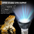 Premium High-Intensity UVB Reptile Light for Optimal Calcium Metabolism,5-Watt 10.0 Desert UVB Light Ideal for Desert-Dw