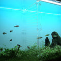 Acrylic Fish Tank Divider Clear Aquarium Divider for 15/20 Gallon Long Tank