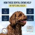 Tartar Shield® Soft Rawhide Dental Chews for Small Dogs | VOHC Accepted | Reduces Tartar, Controls Plaque & Freshens Breath | Vet Recommended | Bacon Flavor | USA Made | 30 Count