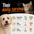 TummyWorks Probiotics for Dogs & Cats with Prebiotics, 160 Scoops. Made USA